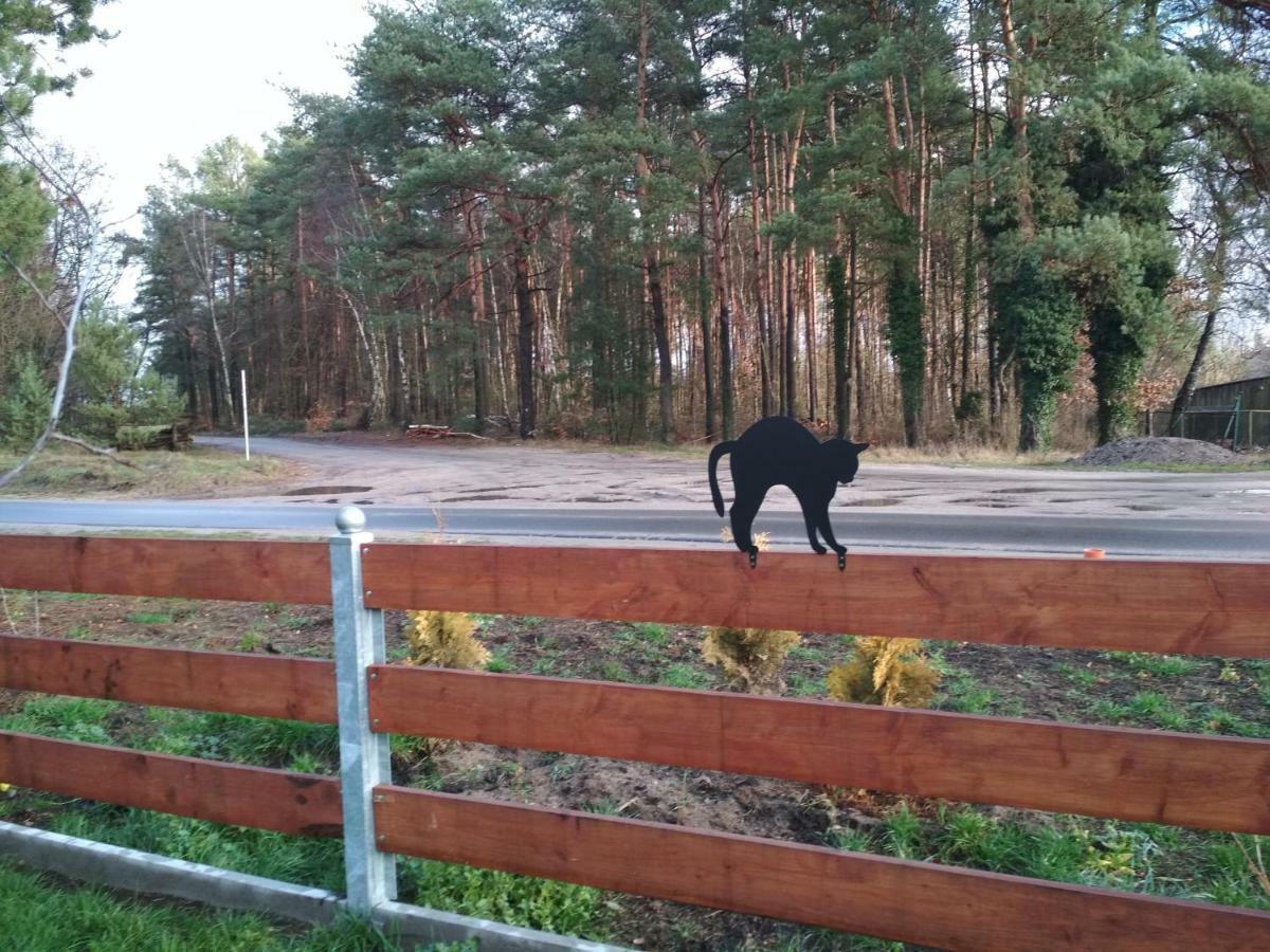 Koci Grzbiet Agroturystyka Dzierzazno Wielkie Kültér fotó