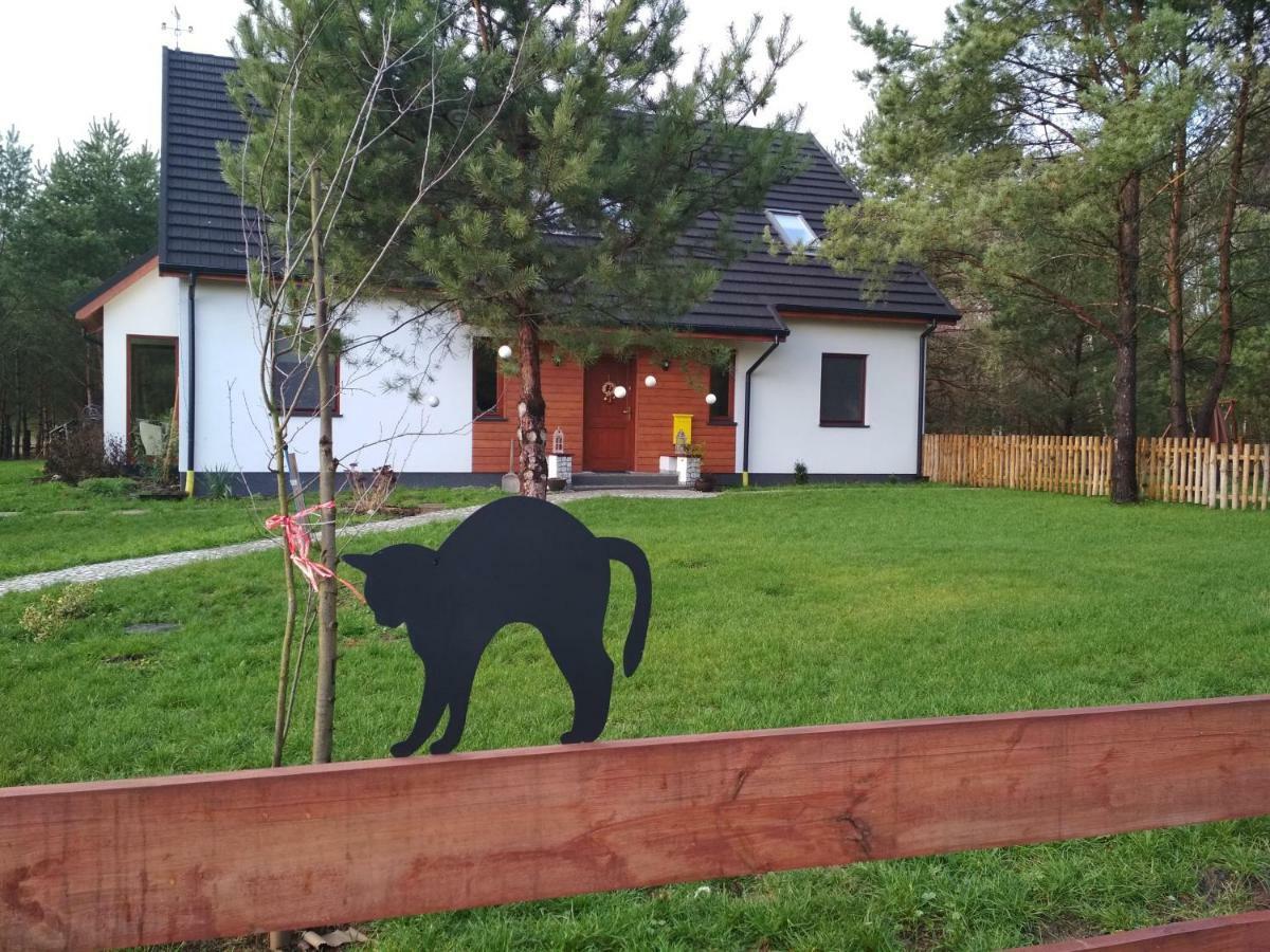 Koci Grzbiet Agroturystyka Dzierzazno Wielkie Kültér fotó