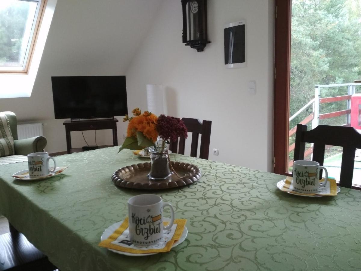 Koci Grzbiet Agroturystyka Dzierzazno Wielkie Kültér fotó